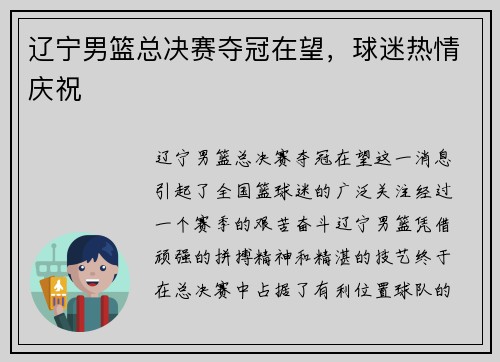 辽宁男篮总决赛夺冠在望，球迷热情庆祝