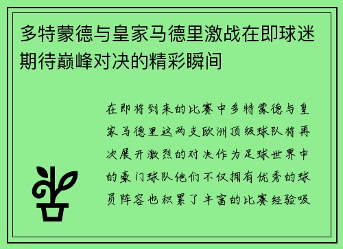 多特蒙德与皇家马德里激战在即球迷期待巅峰对决的精彩瞬间